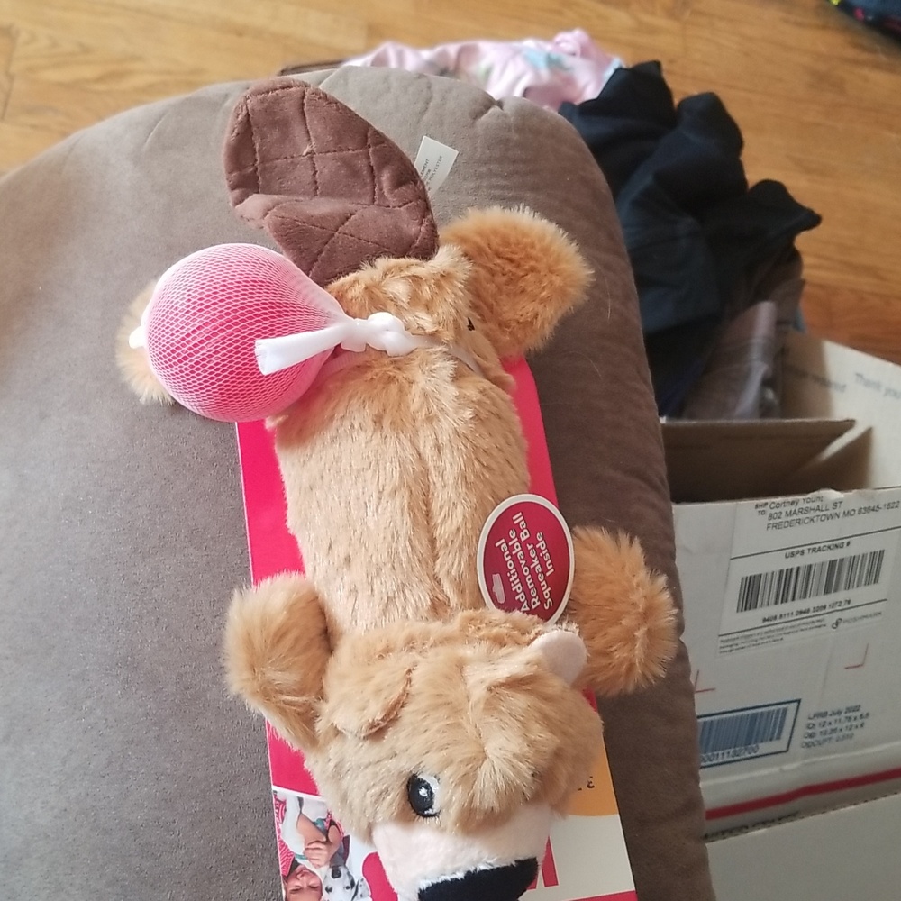 Dog toy